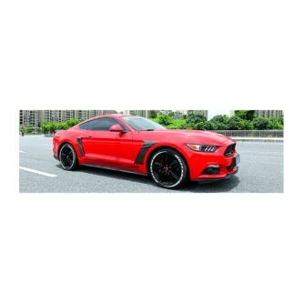 Mustang S550 carbon fibre fender scoops